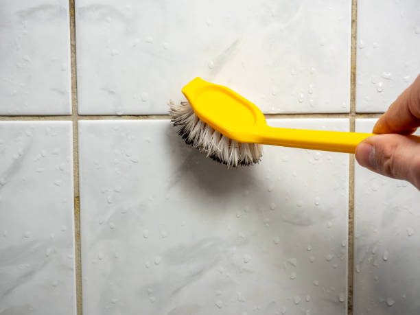Best Mold Remediation for Specific Building Types in Kershaw, SC