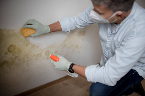  Kershaw, SC Mold Removal Pros