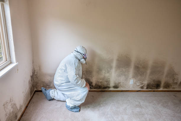 Kershaw, SC Mold Remediation Company