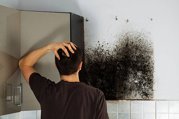 Best Residential Mold Remediation in Kershaw, SC