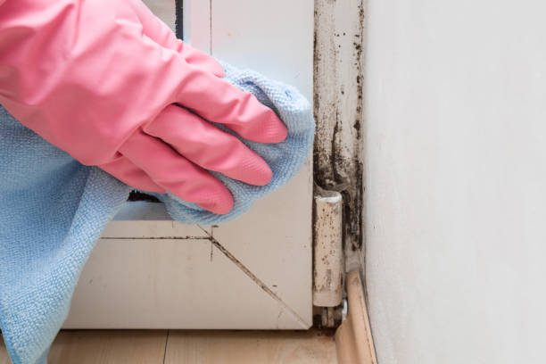 Best Post-Remediation Services in Kershaw, SC