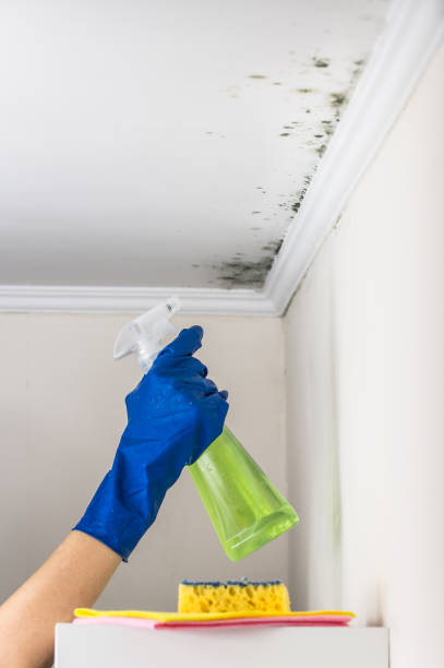 Kershaw, SC Mold Remediation Company